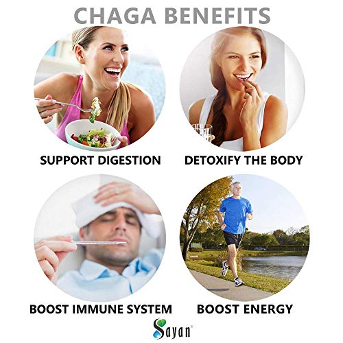 Sayan Siberian Chaga And Organic Reishi Extract Supplement 440Mg - Wild-Harvested, Unique Mushroom Blend For Immune System Support + Natural Energy Boost, Non-Gmo, Gluten Free, 90 Vegetarian Capsules #TOP2