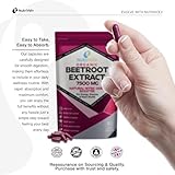 Beetroot Extract 7500mg | 90 Vegan Capsules | Nitric Oxide Support for Blood Circulation, Endurance, Energy & Heart Health | High Strength Superfood Formula | 90 Day Supply | UK Made | by NutriVolv - Image 4