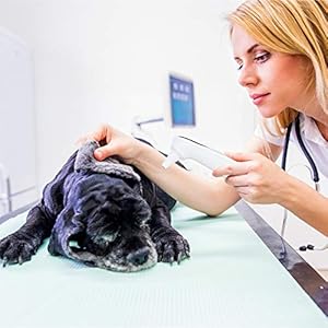   Cat-and-Dog-Ear-Temperature-Monitor-Pet-Only-Thermometer-Dogs-or-Cats-Ear-Temperature-Monitor-with-Warranty-Dog-and-Cat-Ear-Care-Supply-Take-Pet-Temperature-Tool