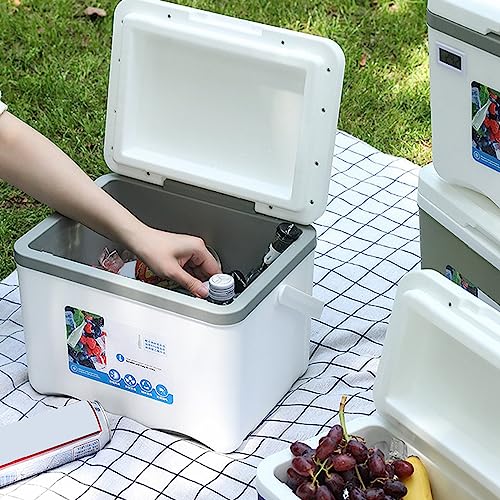 Caja térmica aislada de 6L para camping y senderismo: comida fresca en tus viajes 3