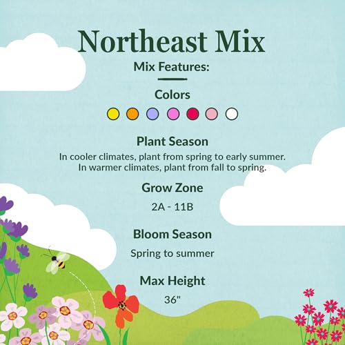 Image of Ferry-Morse Northeast Bulk Wildflower Seeds, 530,000+, 1 lb