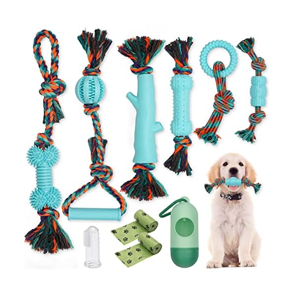 6 Pack Teething Puppy Toys
