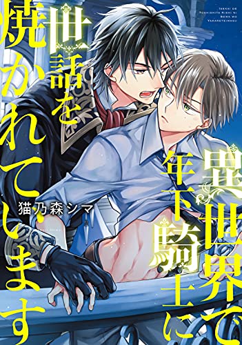 電子限定おまけ付き 異世界で年下騎士に世話を焼かれています バーズコミックス ルチルコレクション 猫乃森シマ ボーイズラブマンガ Kindleストア Amazon