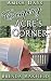 Amish Romance: Escaping Acre's Corner: A Hollybrook Amish Romance Short Story (Annie's Story Book 2)