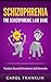 Schizophrenia: The - Schizophrenic - Laid Bare: Psychosis, Paranoid Schizophrenia, Split Personality (Mental Illness, Bipolar, Schizoaffective, Schizophrenia ... Mental Health, Personality Disorder)