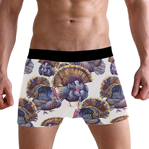 Chinese Dragon and Phoenix Men's Underwear Boxer Briefs Breathable, Multi2