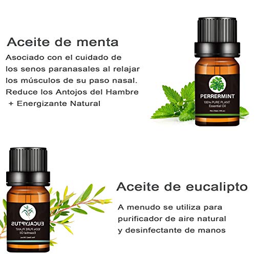 Humidificadores, Personal Care Appliances Imagen adicional