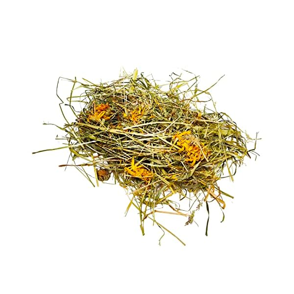 Dein Heuboden Premium Heu (1500 Gramm) Wiesenheu mit Ringelblüte und Kamille für Kleintiere Nager Kaninchen Hamster Meerschweinchen Futter Zwergkaninchen Hasen