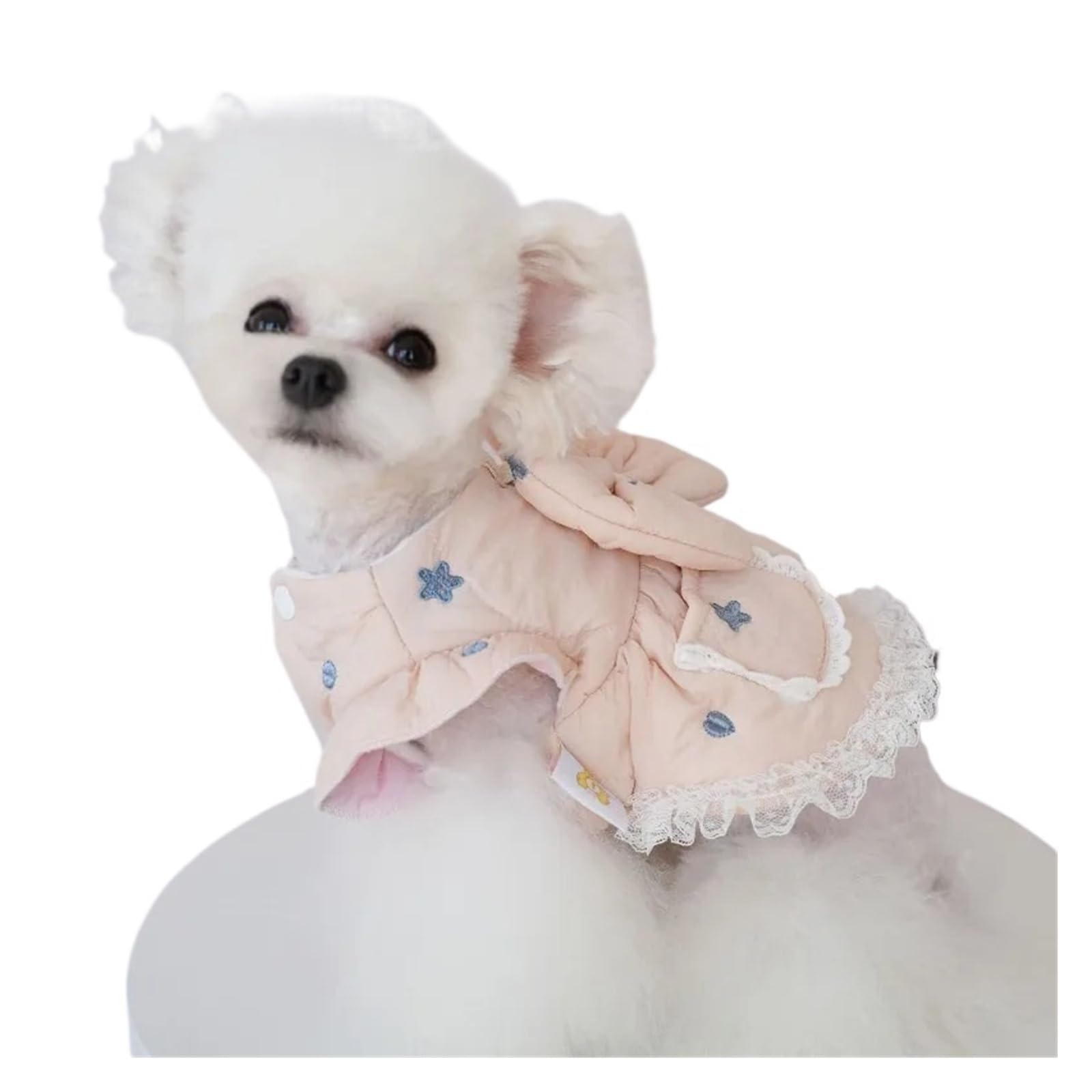 Pet Star Love haftowana sukienka jesienno-zimowa ciepła spódnica Teddy płaszcz z dwiema nogawkami pies ubranka dla szczeniąt kokardą bawełniana(Blue,L)