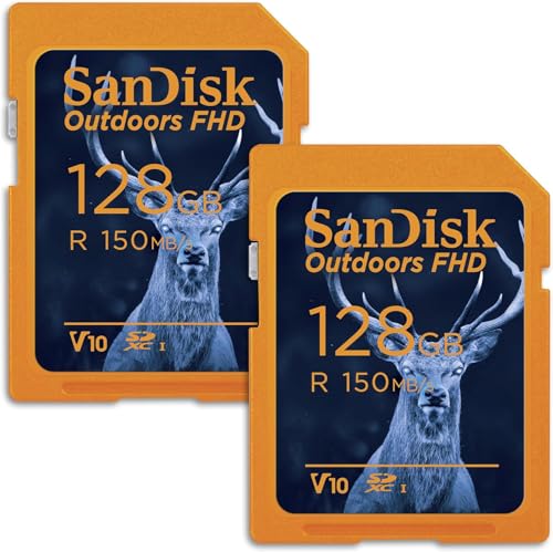 SanDisk 128GB 2pbN AEghA FHD SDXC UHS-I [J[h (2x128GB) - ő150MB/bAC10AU1AV10AgCJSDJ[h - SDSDUWC-128G-GN6V2