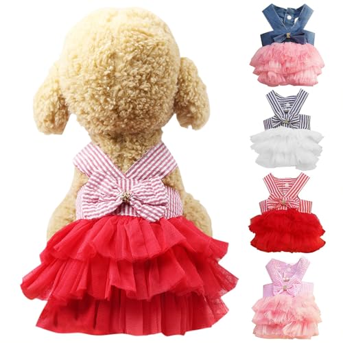 [LANWHO]  H~ ^ ^ ybg ~ L t[X Z[^[ R[g  ӂӂ WPbg R[g g  킢 m DOt  WPbg ybg q L ` o U u