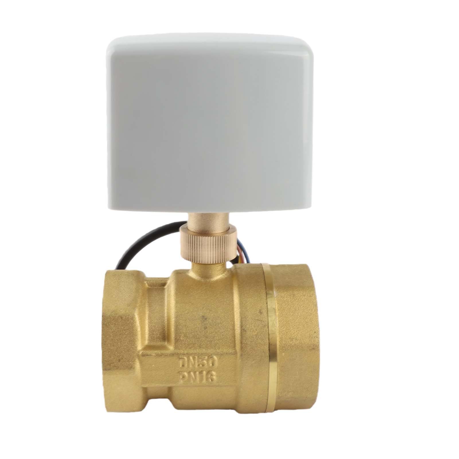 Valvola a Sfera Motorizzata, AC 220V DN50 Valvola a Sfera Motorizzata Elettrica in Ottone a 2 vie 2"a 3 pollici