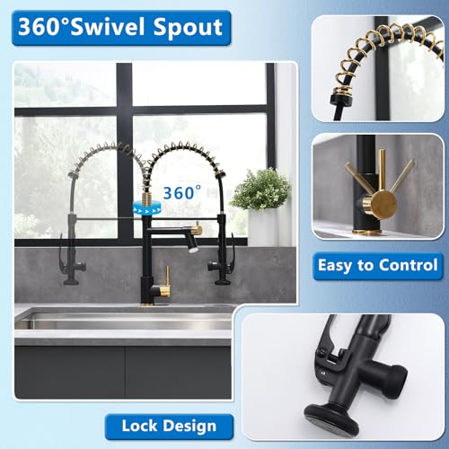 Image of Fapully LED Kitchen Faucet with Pull Down Sprayer,Black&Gold