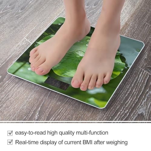 Báscula digital para baño hoja Lotus Verde 400lb miniatura 5
