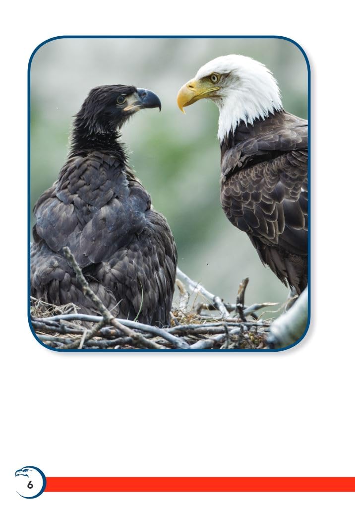 America's Eagle (TIME FOR KIDS(r) Nonfiction Readers) - Image 6