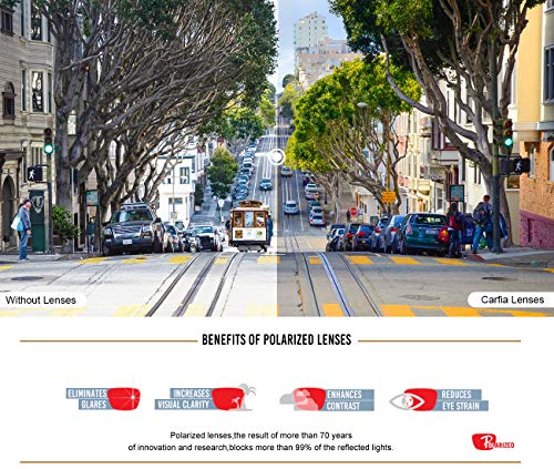 CARFIA Designer Metal Bridge Acetate Sunglasses for Men Polarized UV400 Protection CA51072