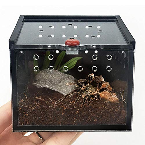 ZSLGOGO Acrylique Noir pour élevage d'animaux de Compagnie, boîte d'alimentation pour Tortue de Cricket Grenouille araignée-lézard, 1pcs