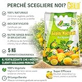 AGRICOLA GIRALDI B0GLH8KVFX lato 4