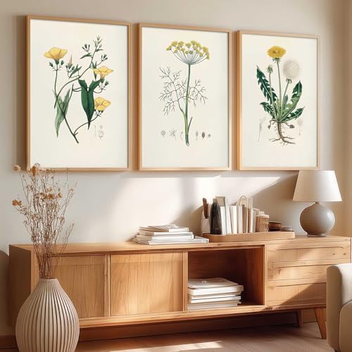 Image of kotart Aesthetic Botanical Art Home Decoration Painting | Floral Paintings With Frame For Living Room Bed Room Hotel Wall Decor Digital Reprint Set of 3 (19X25 inch)