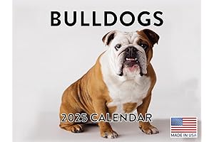 Bullied Bulldog Calendars 2025 Monthly Wall Calender 12 Month