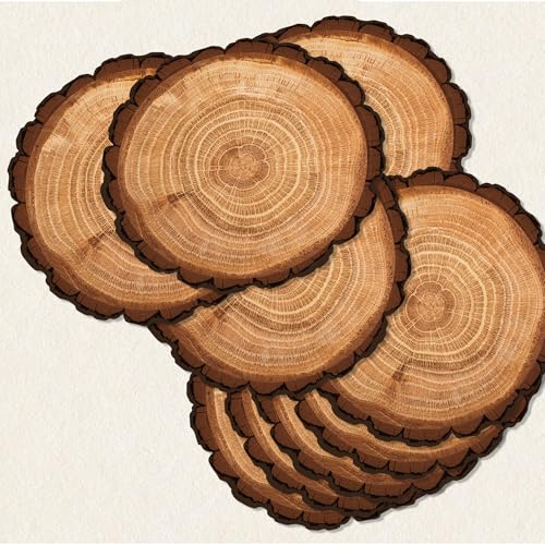 Sets de table jetables marron rustique pour protéger et décorer une table