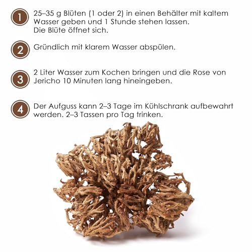 Rose von Jericho – 25g Chajarat Mariam für Fruchtbarkeit und Gesundheit