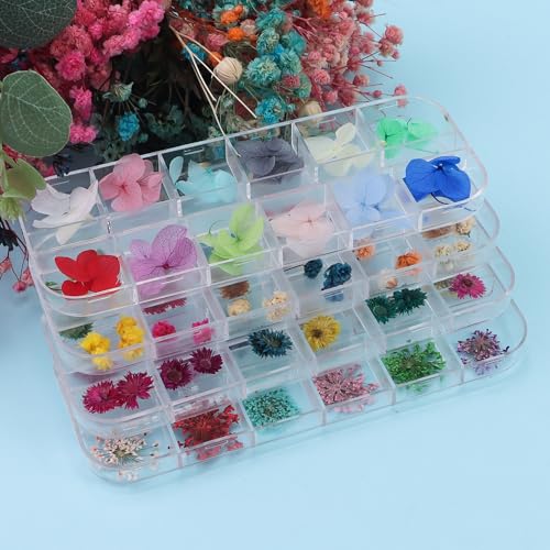 Flores secas para arte de uñas, set de 4 cajas miniatura 7