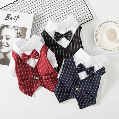 Vestido disfraz para perro negro talla L miniatura 4