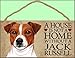 A house is not a home without Jack Russell Terrier - 5