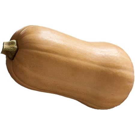 Amazon 甘い バターナッツ南瓜 種 4粒 野菜