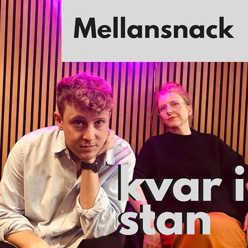 Mellansnack