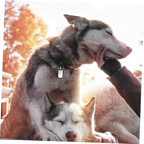 Toddmomy Hundemarken Tag Silencers Für Hunde Geräuschreduzierende Dogtags Ideal Für Hundehalsbänder Und Erkennungsmarken