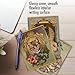 The Best Card Company - 10 Boxed Note Cards Blank (4 x 5.12 Inch) - Bulk Assorted Cards, Vintage Pictures - Feline Frames M6638OCB