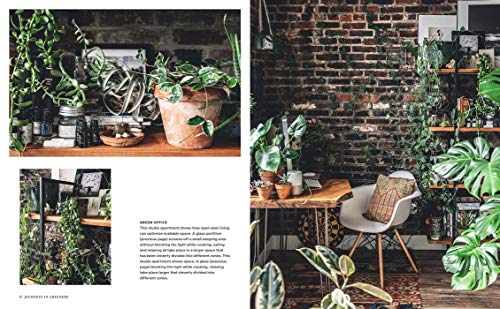 Wild Interiors: Beautiful Plants In Beautiful Spaces #TOP2
