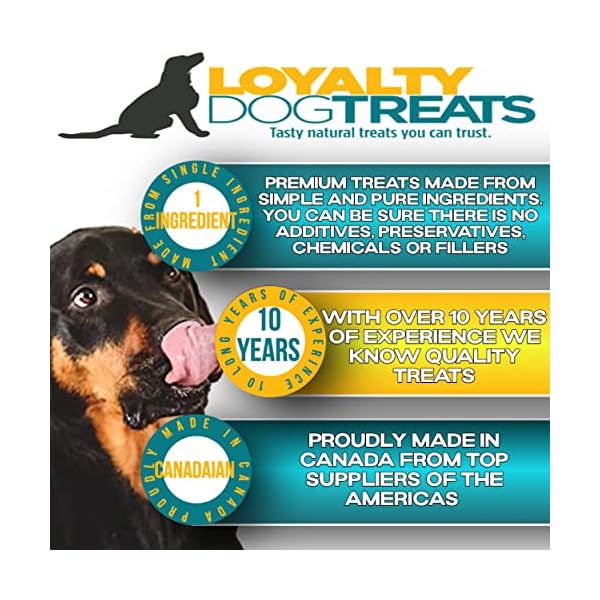 Loyalty Dog Treats, Pumpkin Powder, Fully Natural, Single Ingredient, Canadian, Fast Acting, Fibre Rich Digestive Supplement, (225g) Loyalty Dog Treats, Pumpkin Powder, Fully Natural, Single Ingredient, Canadian, Fast Acting, Fibre Rich Digestive Supplement, (225g)