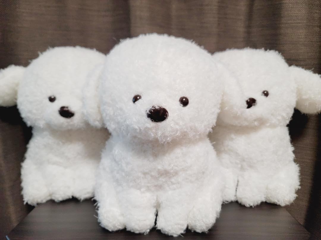 トイプーのモコフィのBIG ぬいぐるみ2点セット Amazon.co.jp: トイプーのモコフィー BIGぬいぐるみ モコフィー 3個