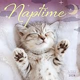 2026 Naptime Wall Calendar