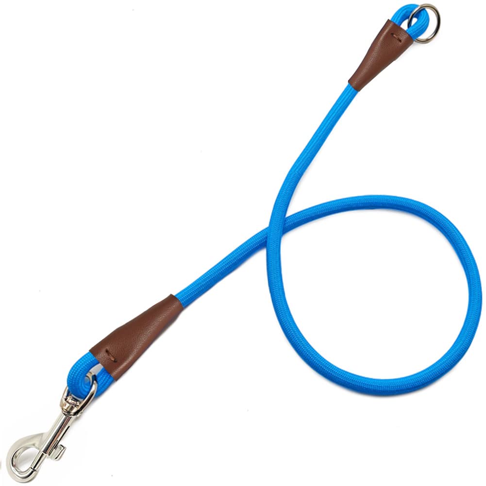 MycicyNo Handle Dog Leash 3FT/ 6FT, Tether Training Leash Tie Down, Dog Extension Rope Great for Exercising, Bicycle and Outdoor, Running, Walking (3 feet- blue)