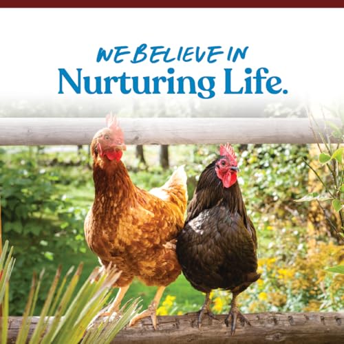 Manna Pro 1000210 Crushed Oyster Shell | Egg-Laying Chickens thumb #6