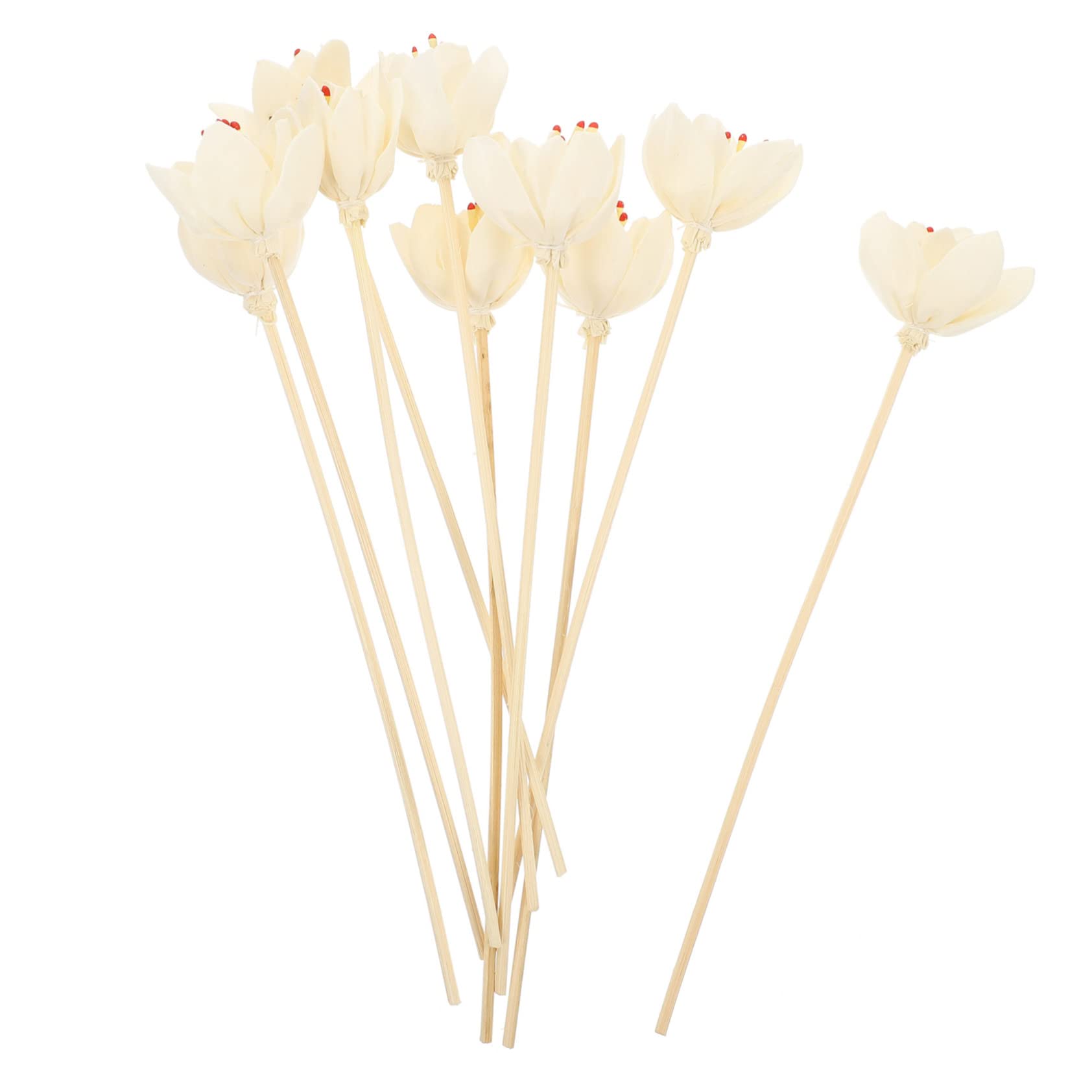 Didiseaon 40pcs Natural Fragrance Diffuser Sticks Flower Sticks for Home Decor for Diffusers Indoor Atmosphere Elegant Design
