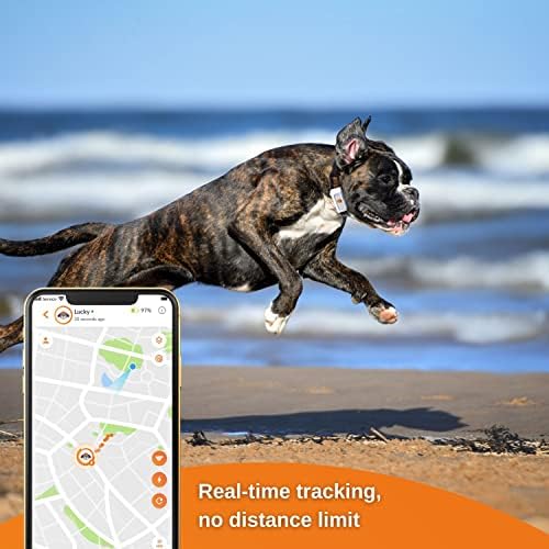 Dog GPS tracker - Weenect | GPS live tracking | No distance limit | Most compact model | Subscription required