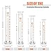 Feekoon 10 Pieces Glass Measuring Beaker and Graduated Measuring Cylinder with Stirring Rod 50/100/ 250/500/ 1000 ml Thick Glass Beakers and 5/10/ 50/100 ml Graduated Cylinders for Science Lab