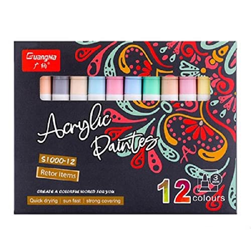 AMERTEER Acrylic Paint Pens, 12 Colors Acrylic Marker for Rock Painting, Stone, Ceramic, Glass, Wood, Fabric, Canvas, Porcelain. (3mm Medium Tip)