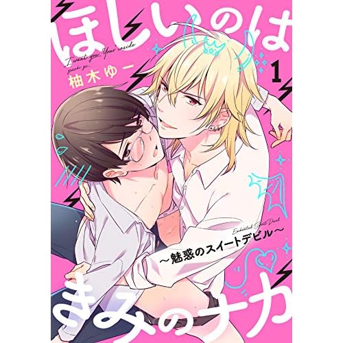 ほしいのはきみのナカ