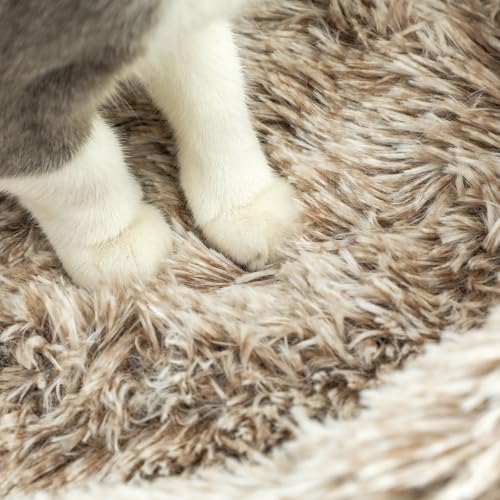 PawHut Kratzbaum 87 cm hoch Katzenbaum mit Bett, dick Stamm, Katzenkratzbaum mit Sisal- Kratzsäulen, für Katzen bis 6 kg, Indoor, Braun-9