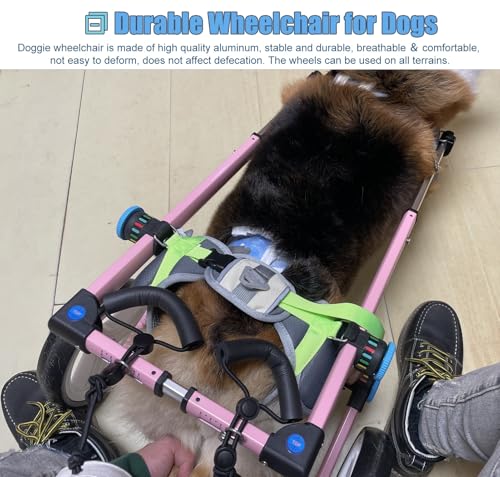 Silla de ruedas para perros: regálale la libertad de caminar con este carrito 5