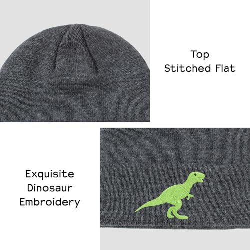 Toddlers Knitted Hat Baby Boys Girls Beanie Cute Embroidery Dinosaur Kids Winter Hat for 0-8 Years4