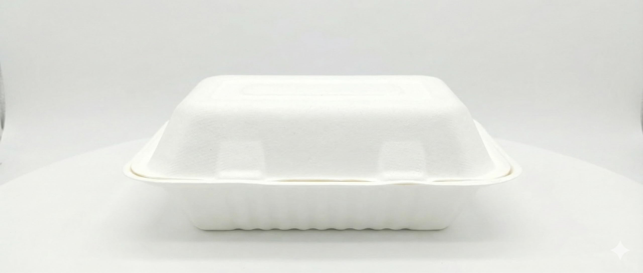 Générique 100 Boîtes à Sandwich Rectangulaires en Fibre de Canne 23x15,3x7,7 cm - Coques pour Burgers, Sandwichs, Paninis, Hot Dogs, Frites, Poulet Frit et Plus