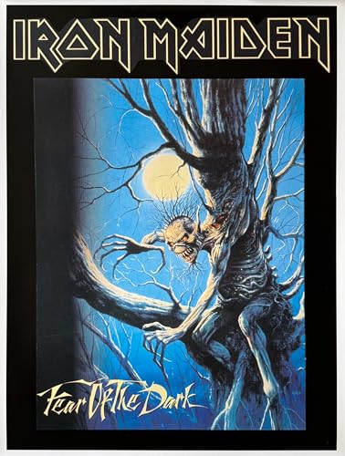 Poster Iron Maiden original 60X80Cm grand format 1992 rock
