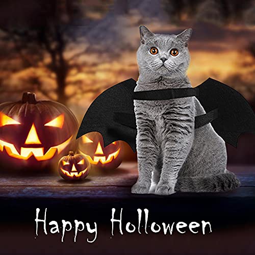 Itessy Dog Halloween Costumes, Cool Luminous Skeleton Bone Bat Wings Cosplay Cat Pets Costumes Dress Up Apparel Accessories For Kitten Puppies, M #TOP5